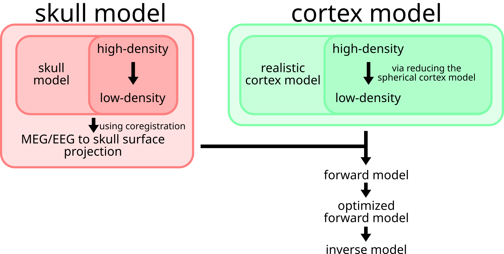 Graphic presentation of the relationship between skull & cortical model